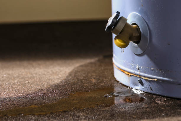 Best Water Damage Assessment and Inspection in Wooster, OH